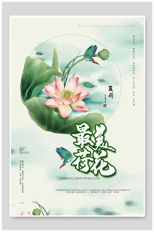 最美荷花荷叶套图插画海报