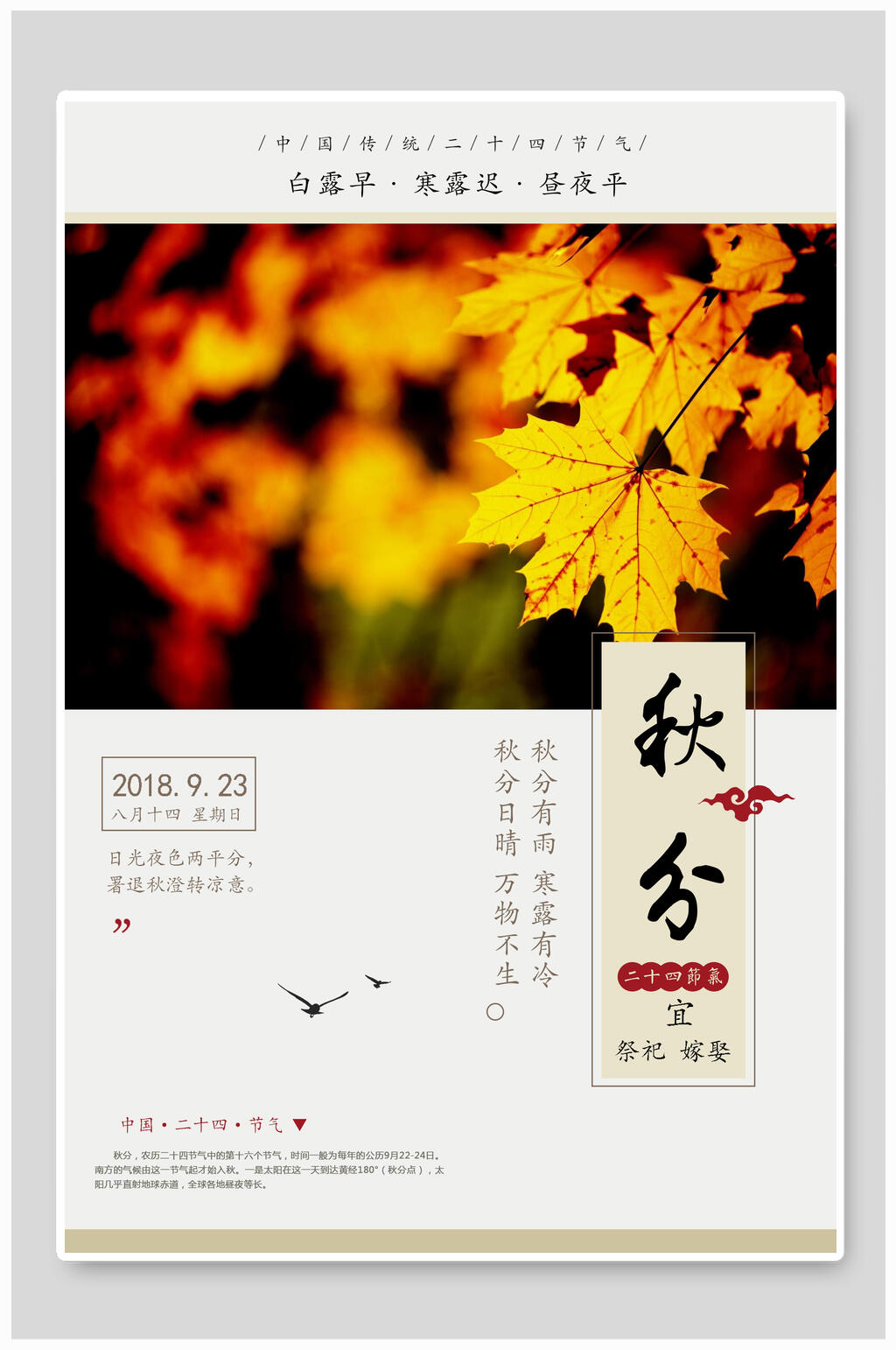 枫叶秋分海报素材
