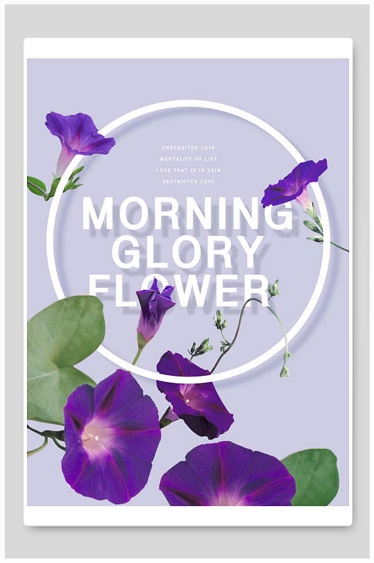 紫色喇叭花花卉创意节日海报设计