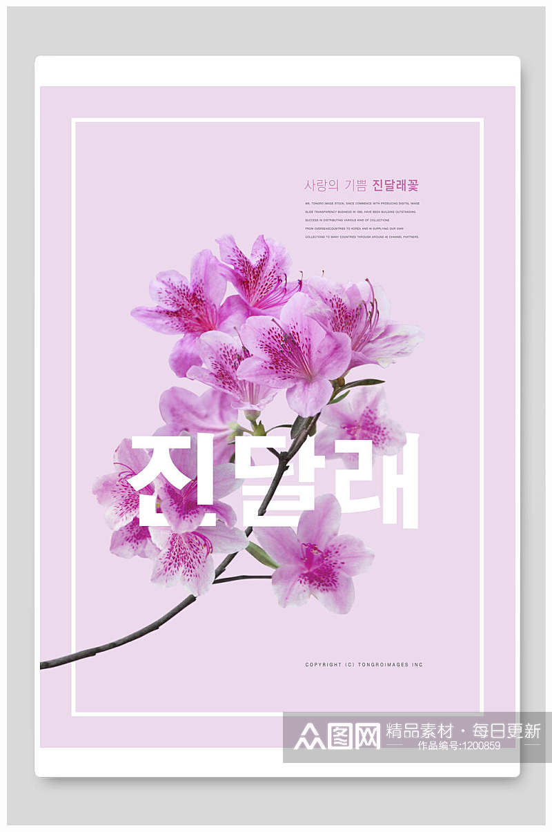 杜鹃花花卉创意节日海报设计素材