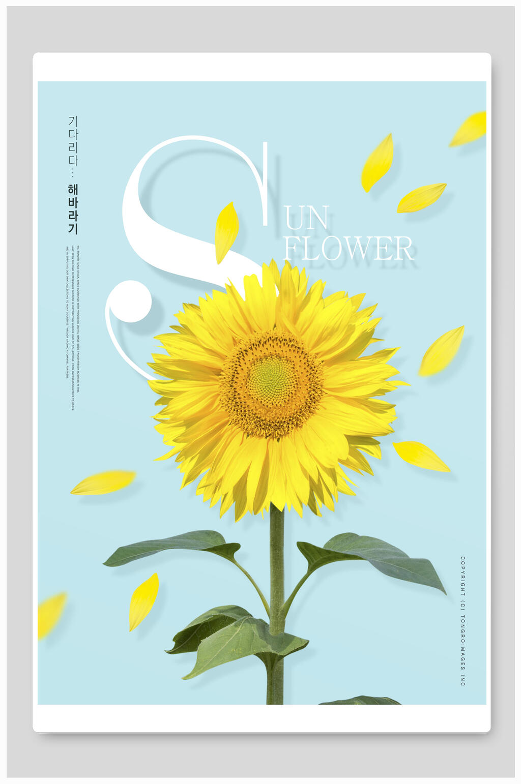 向日葵花卉创意节日海报设计