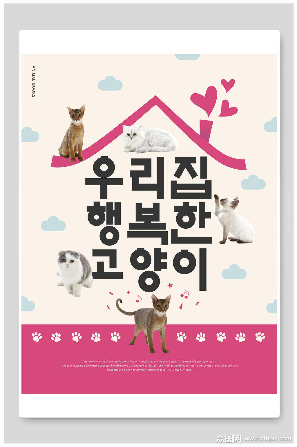 宠物海报猫咪萌宠可爱海报