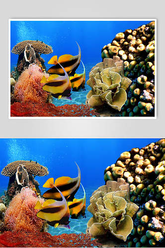 海底世界珊瑚水族馆