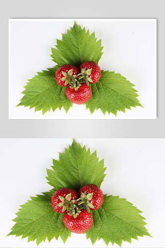 高清新鲜采摘水果草莓图片