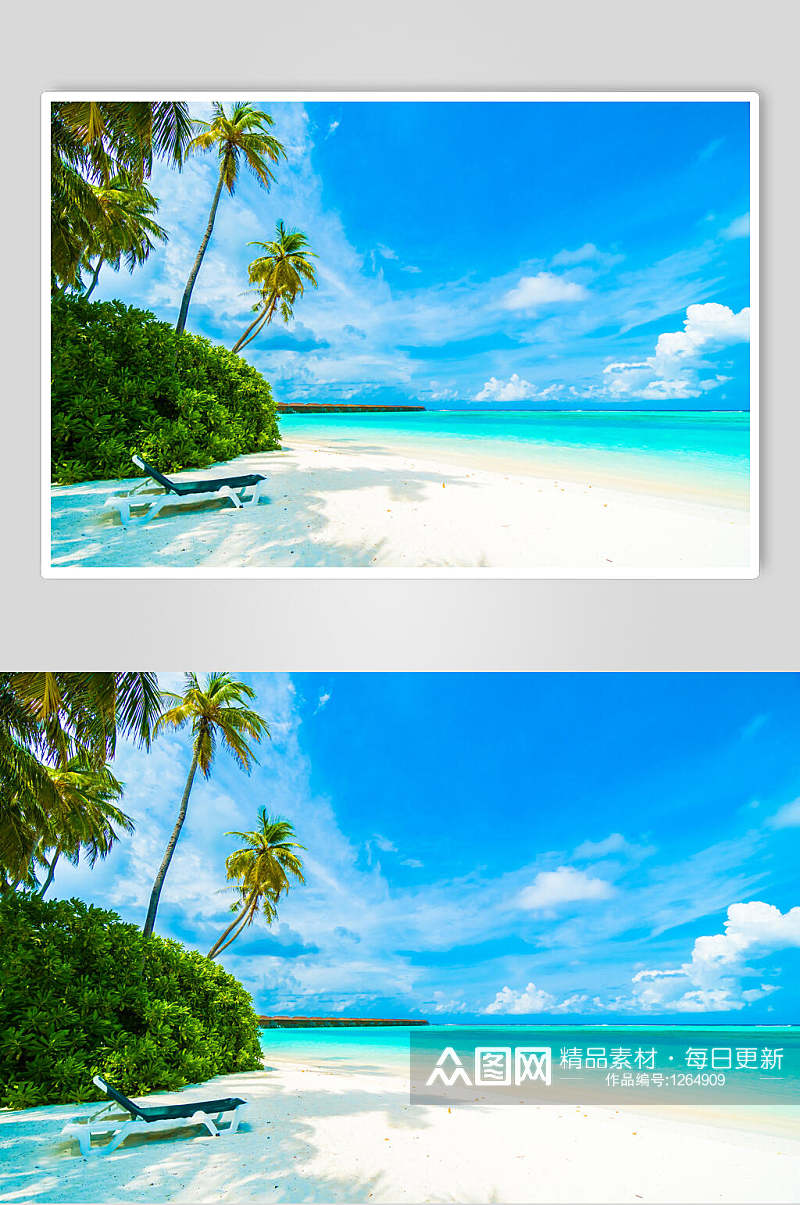 沙滩大海椰树图片素材