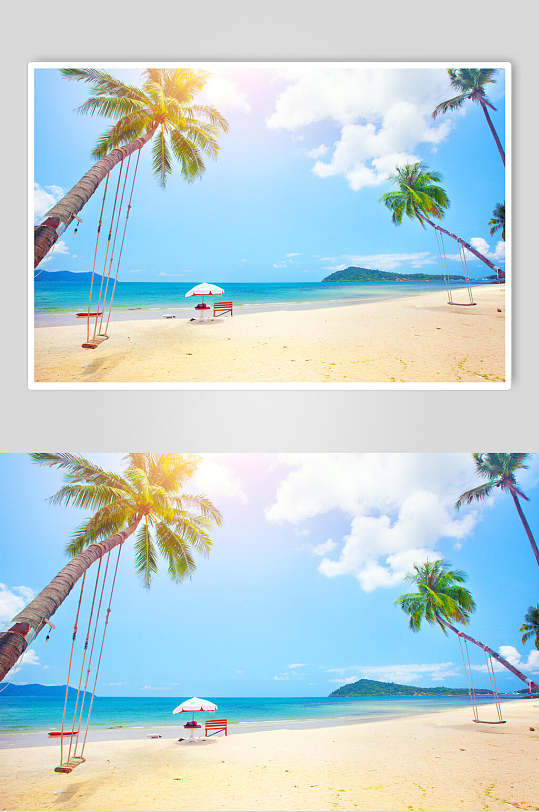 沙滩大海椰树图片