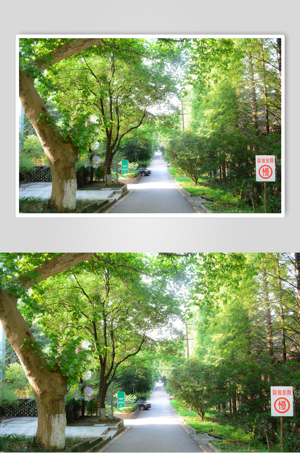 南京大学鼓楼校区高清摄影图片素材素材