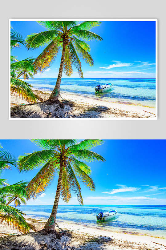 蓝天沙滩大海椰树图片-摄影图素材-众图网