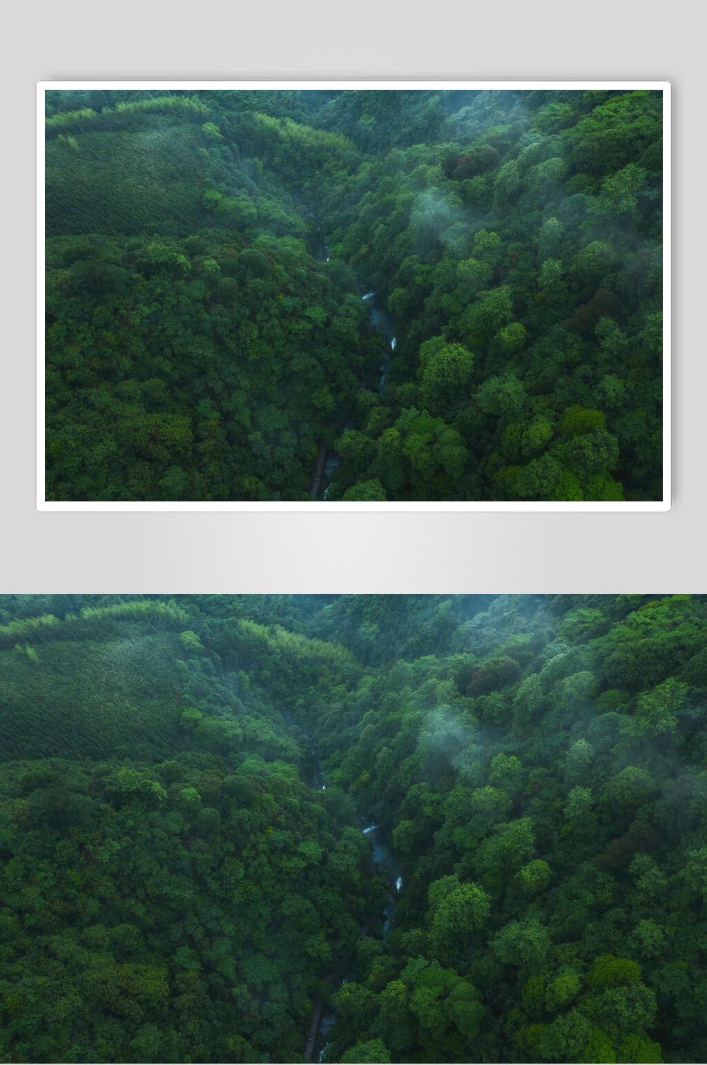 桂林山水密林素材