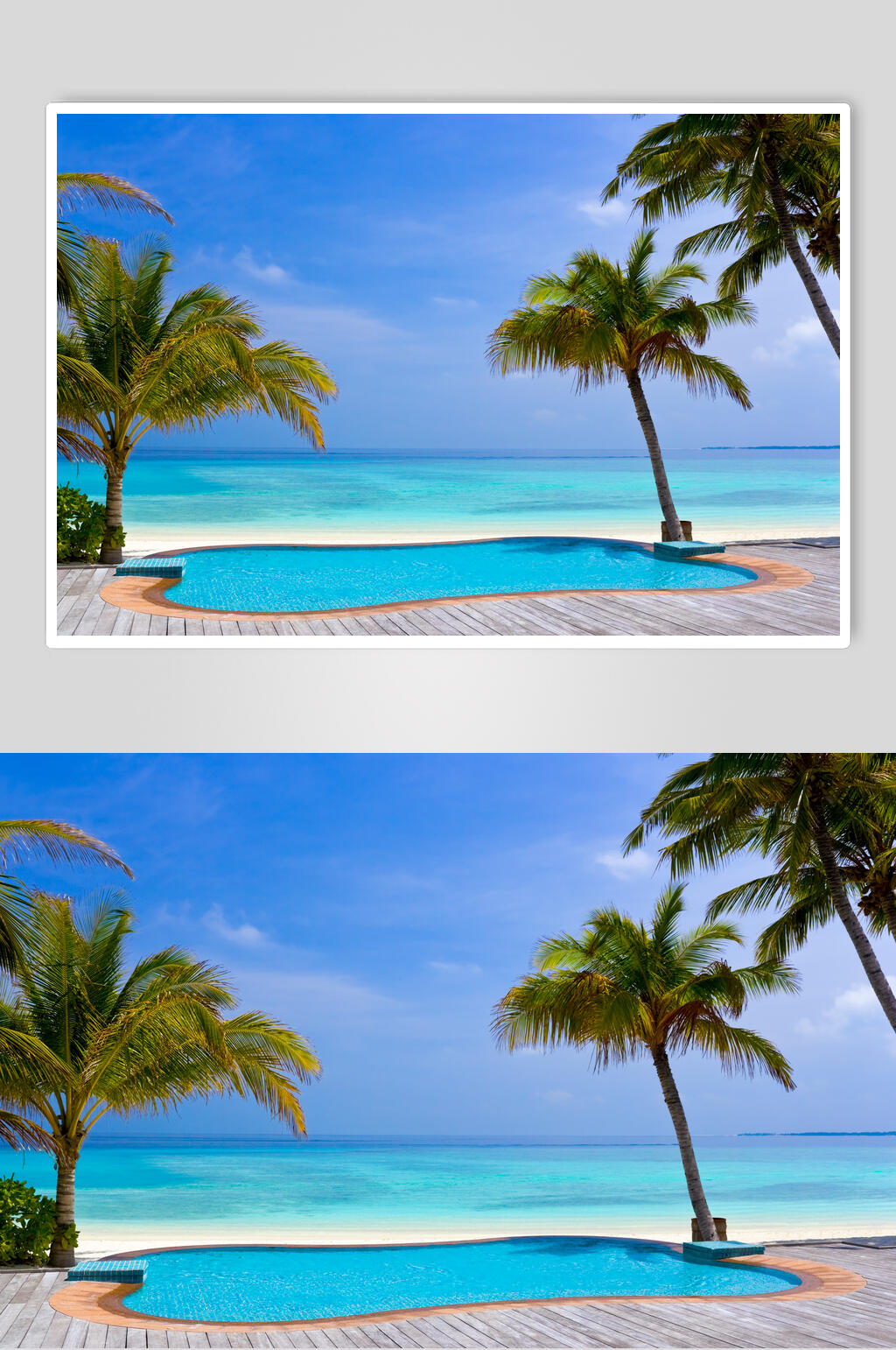 沙滩大海椰树高清摄影图片