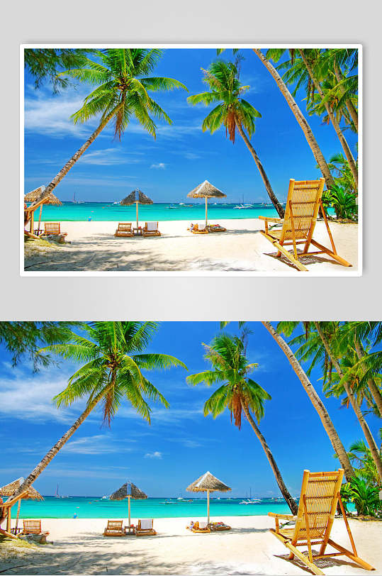 沙滩大海椰树图片高清摄影图片素材