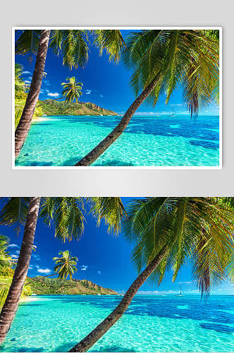 蓝天沙滩大海椰树图片