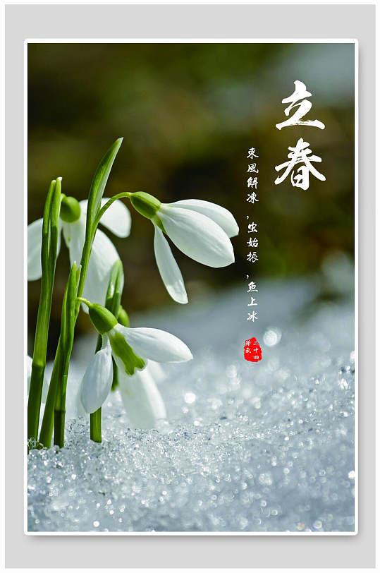 2020立春图片-2020立春素材下载-众图网