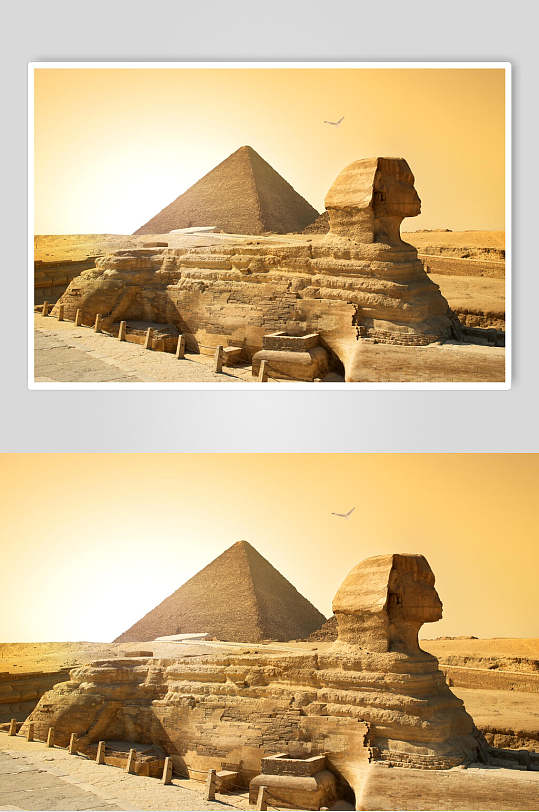 狮身人面像埃及文化摄影图素材金字塔图片