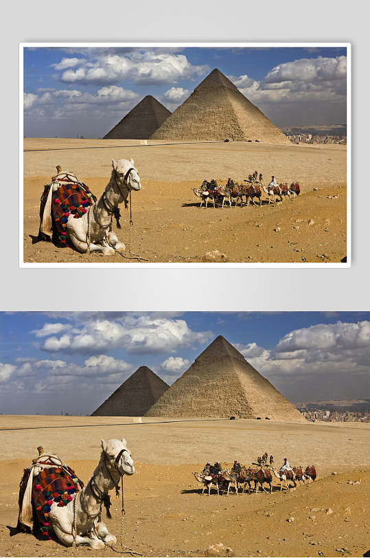 骆驼金字塔照片图片素材