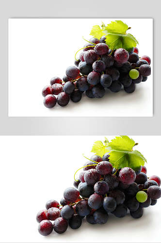 葡萄提子马奶葡萄图片素材图片