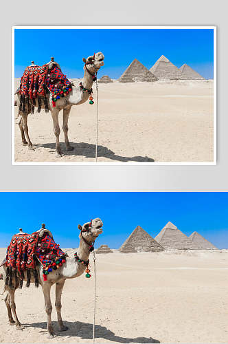金字塔图片埃及文化摄影图素材