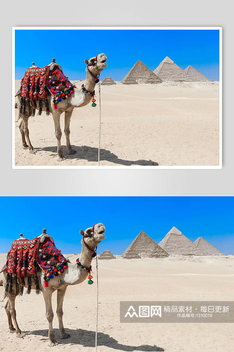 金字塔图片埃及文化摄影图素材素材
