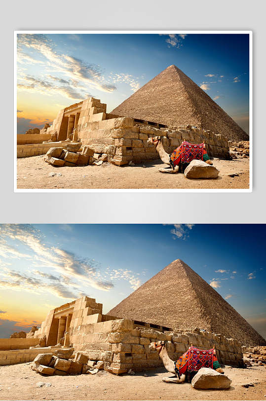 金字塔图片沙漠骆驼风光素材