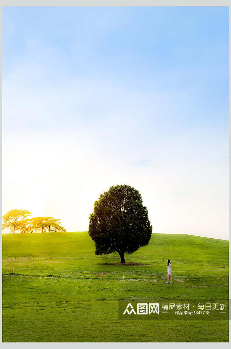 草地绿树蓝天高清图片素材