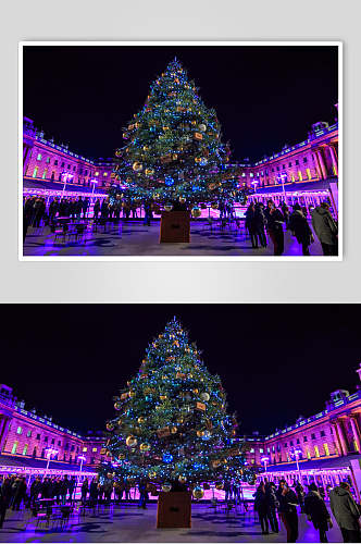 夜景圣诞树人群高清图片