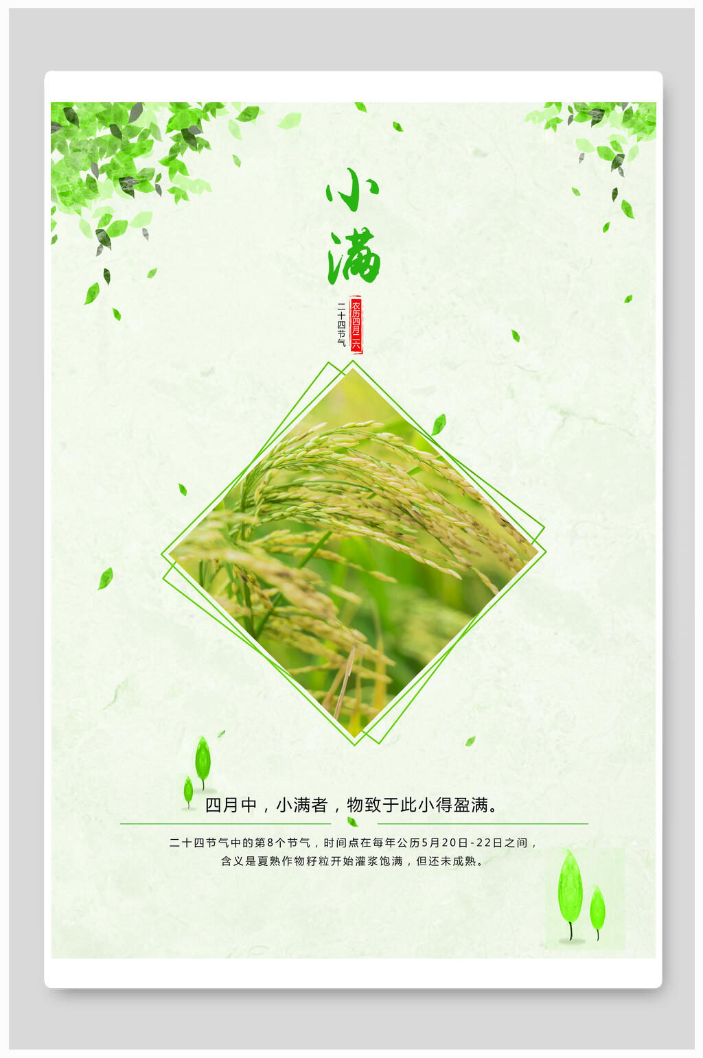 绿叶二十四节气小满海报素材