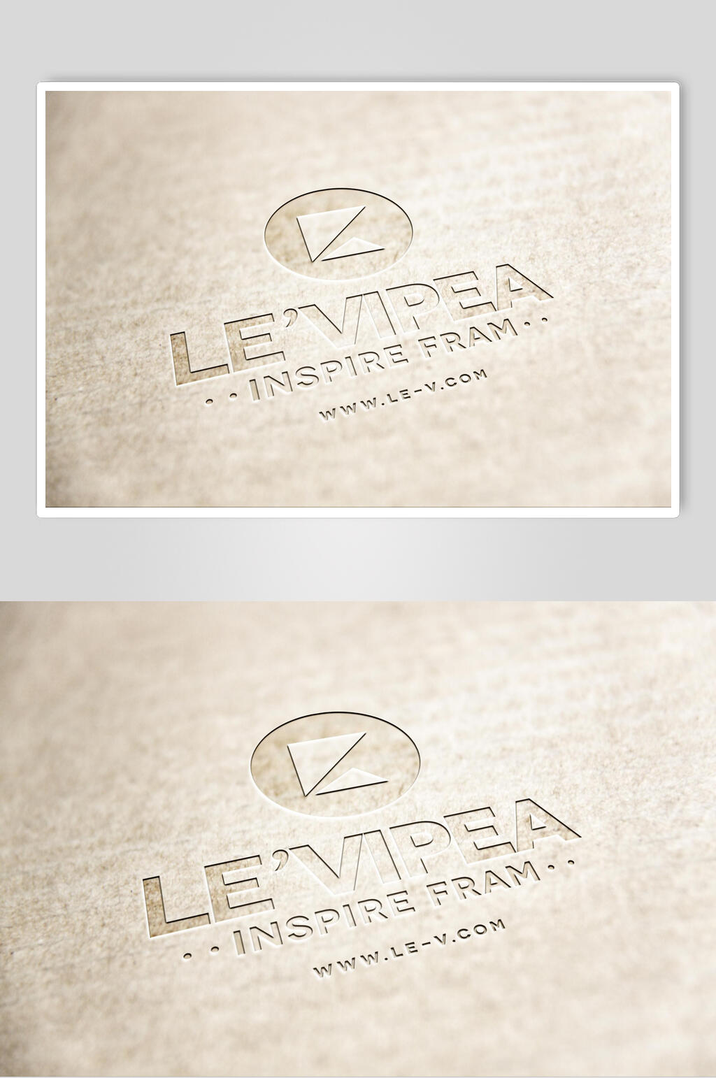 棕色大气LOGO展示样机素材