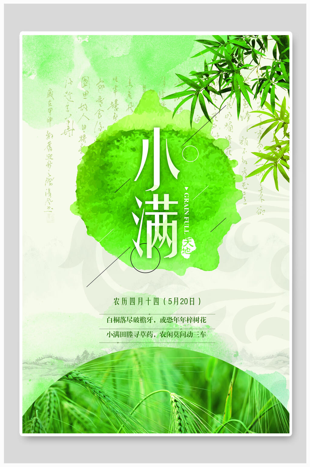 绿叶二十四节气小满海报素材