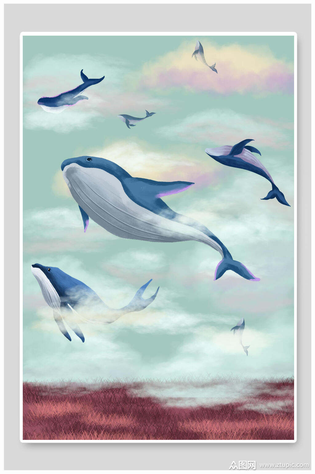 鲸鱼插画设计