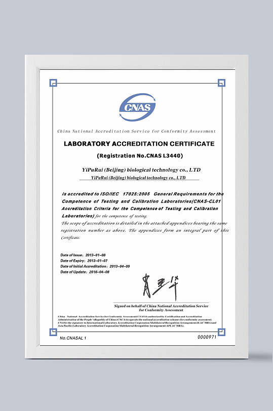 证书模板英文竖版