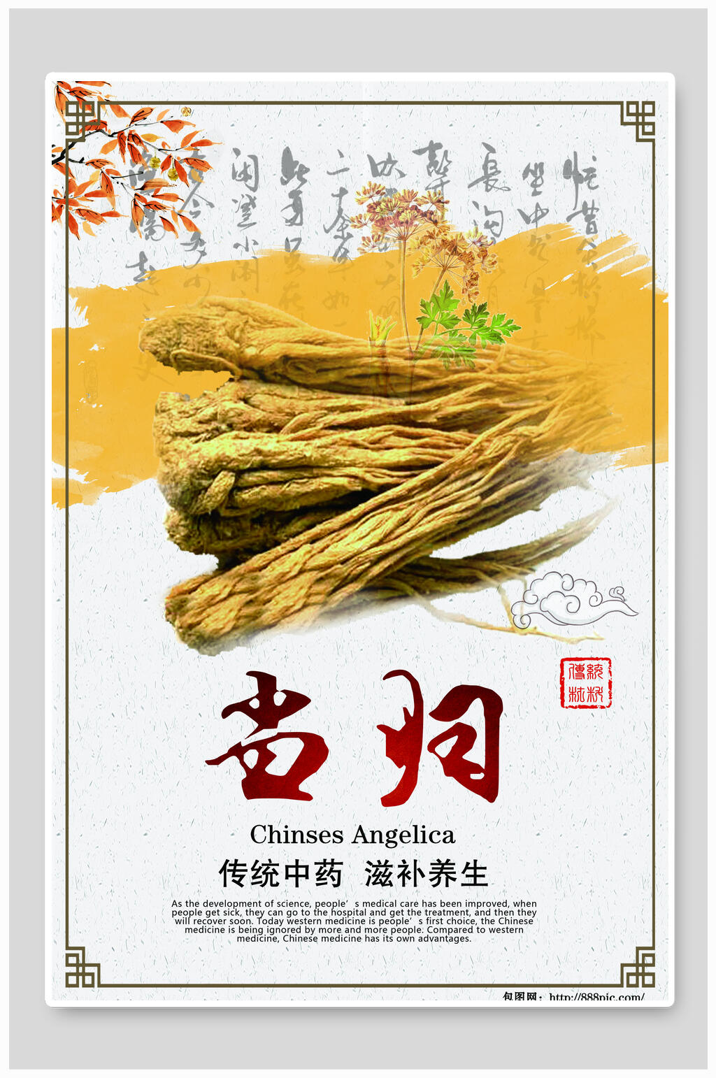 传统中药养生当归海报设计素材