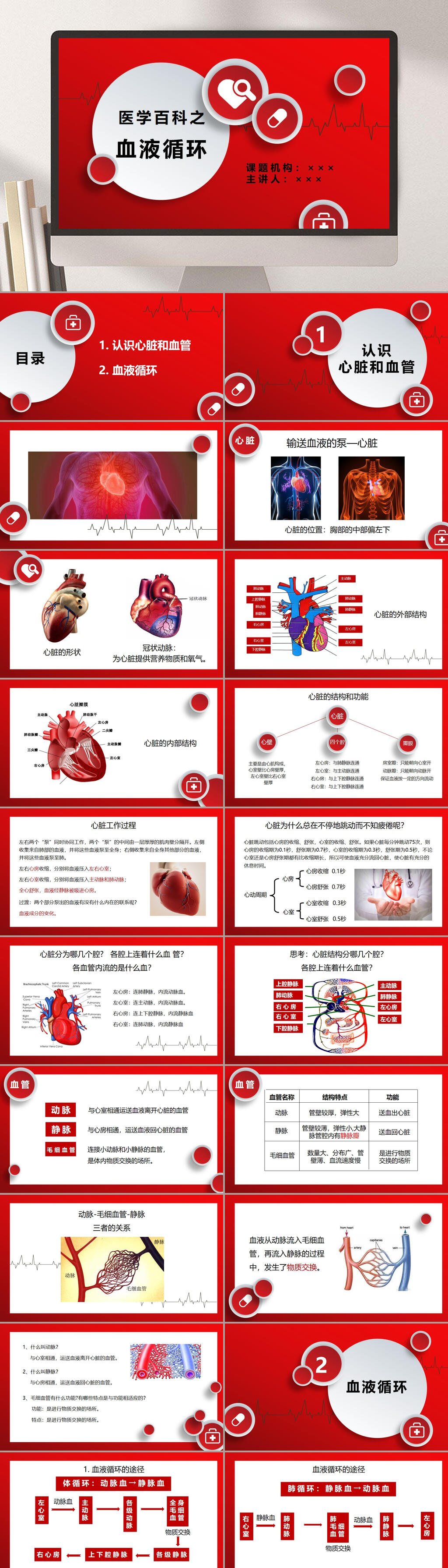 医学百科血液循环详解ppt模板