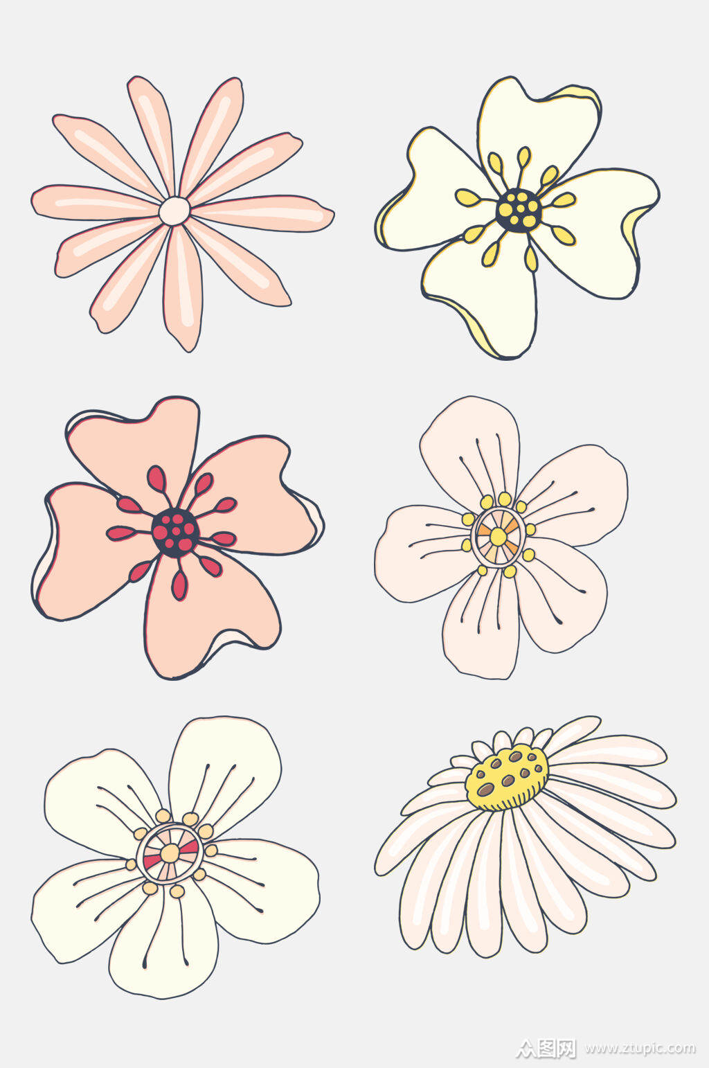 手绘花卉植物插画元素素材