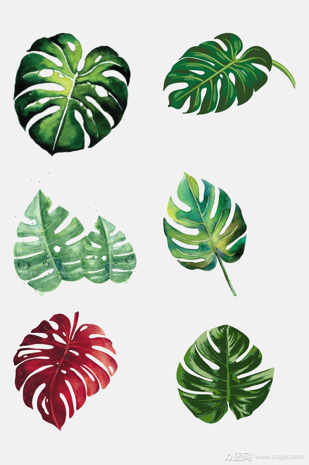 北欧叶子元素素材素材