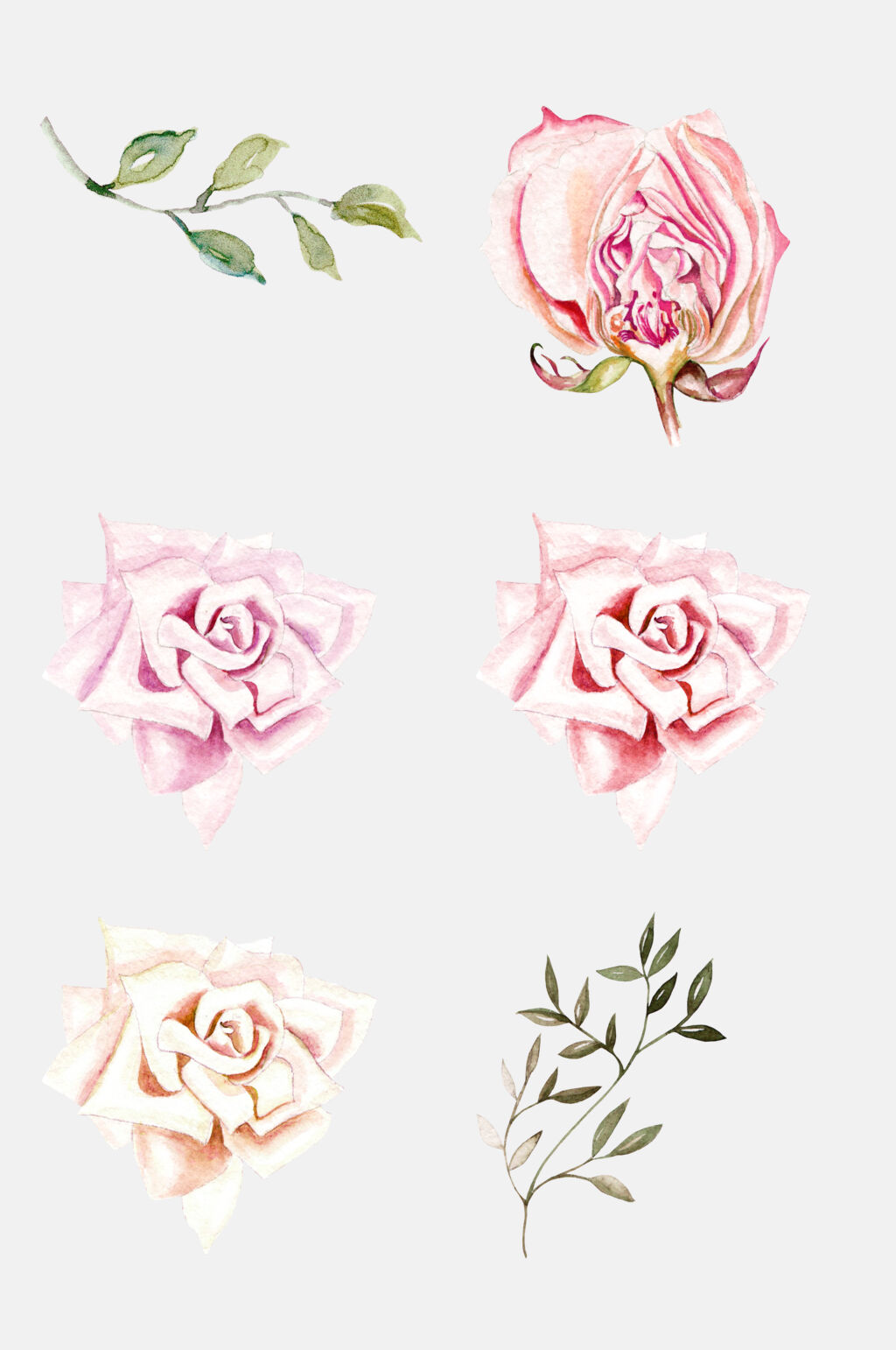 玫瑰彩铅手绘插画免抠png元素素材