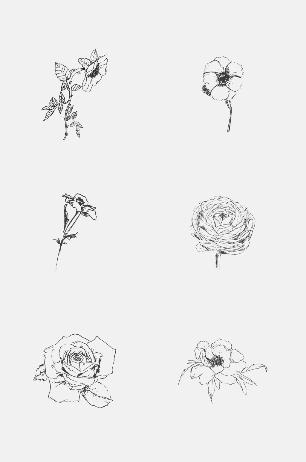 花卉线稿元素素材素材