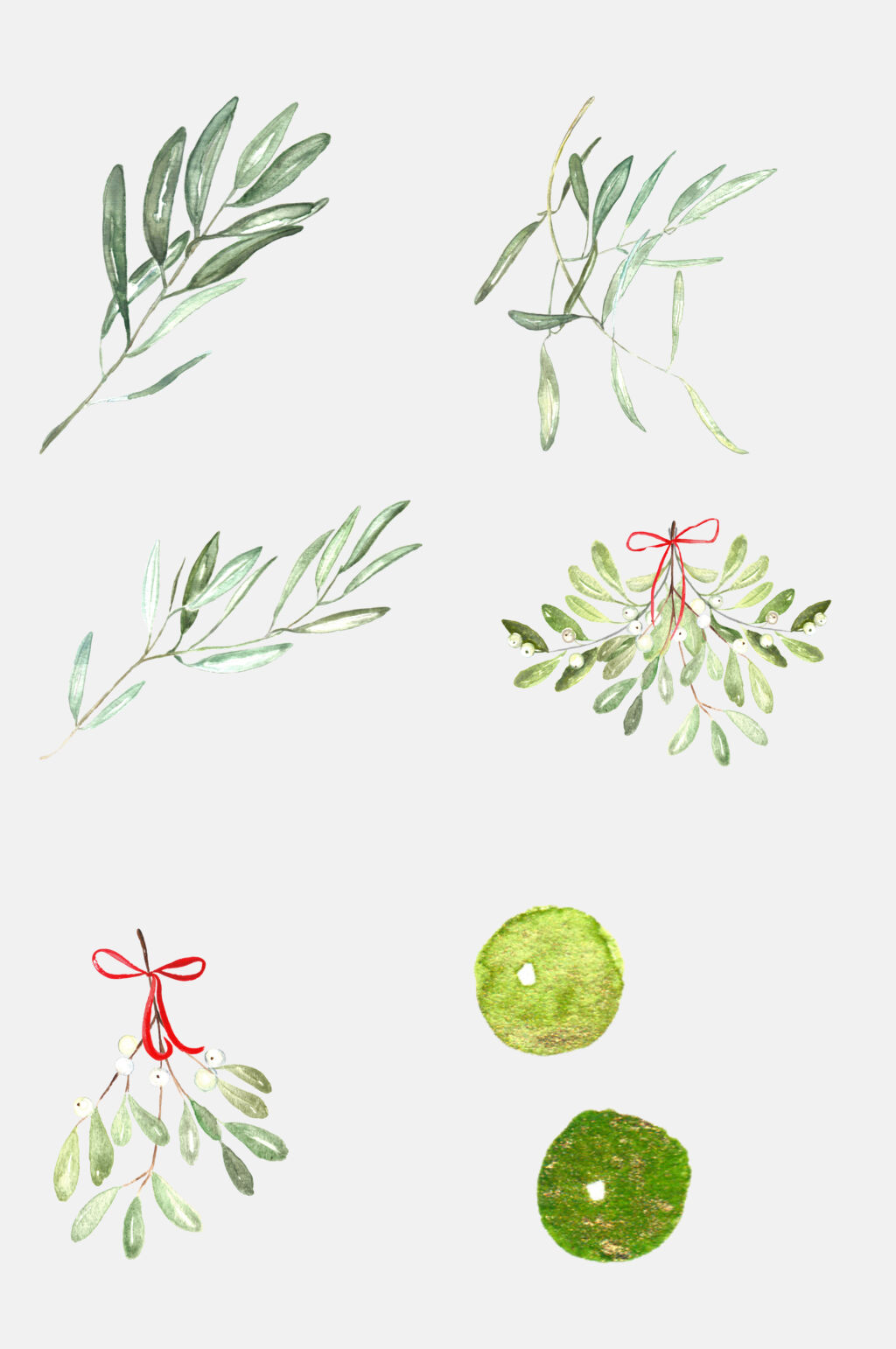 免抠元素96pngz植物叶子苔藓和叶子素材
