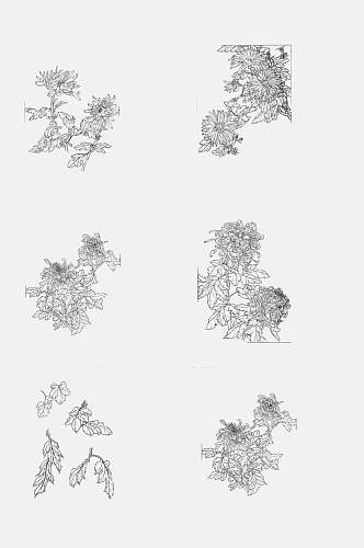 菊花免抠元素设计元素简笔画菊花叶子花朵