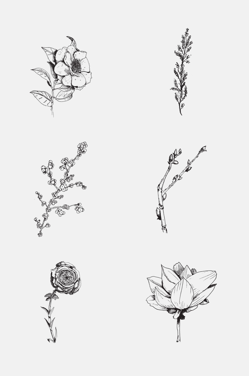 手绘画花卉线稿元素素材素材