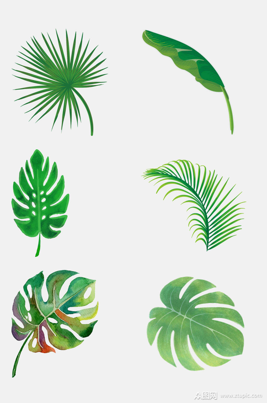 绿色北欧叶子元素素材素材