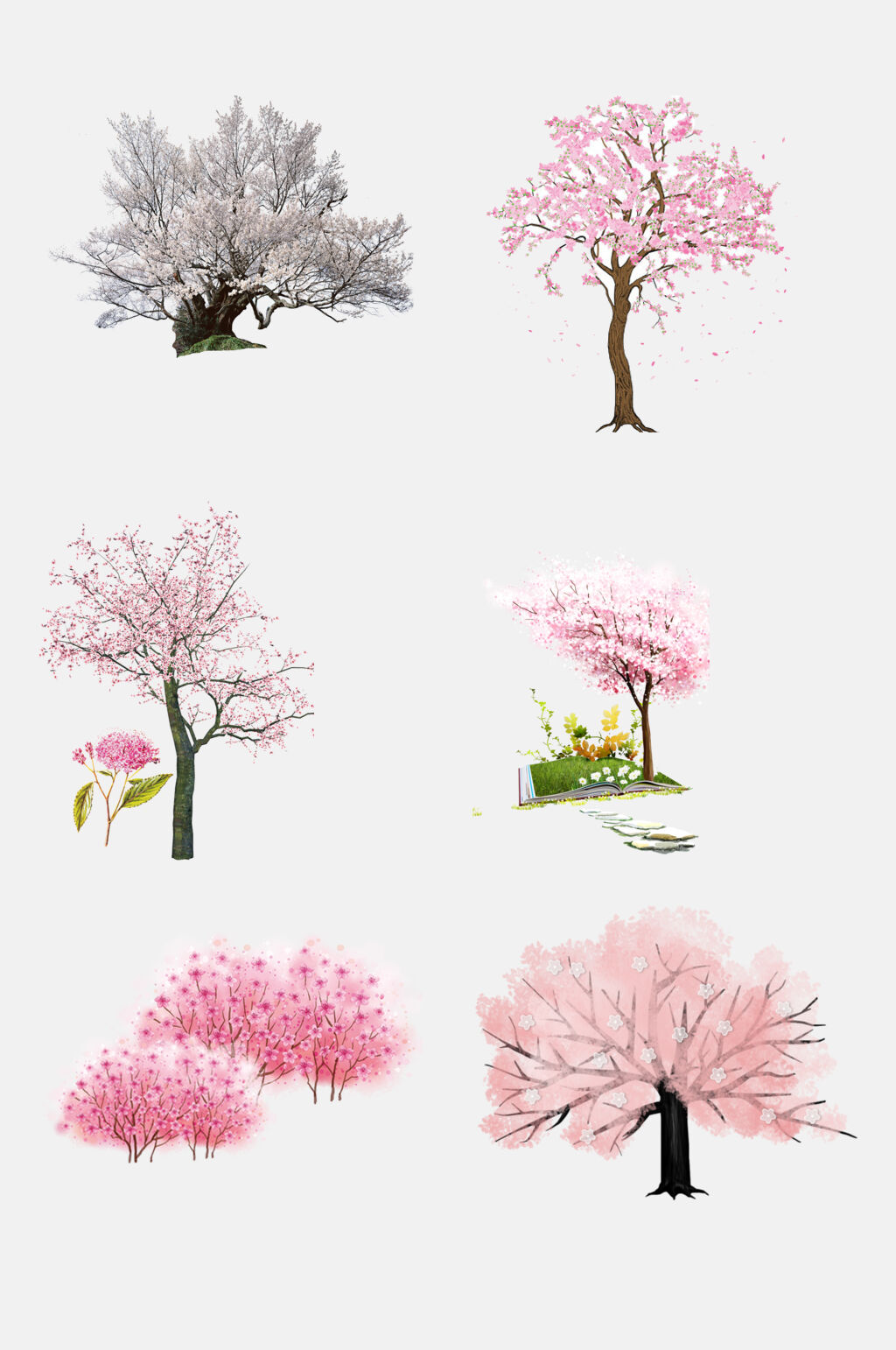 樱花桃花樱花节桃花节素材灿烂美丽素材