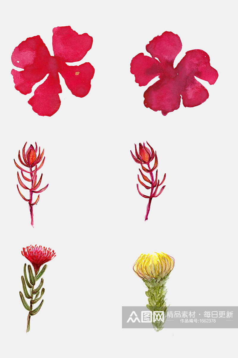 手绘花卉红花花萼植物设计元素素材
