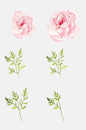创意手绘花卉植物插画免抠png元素