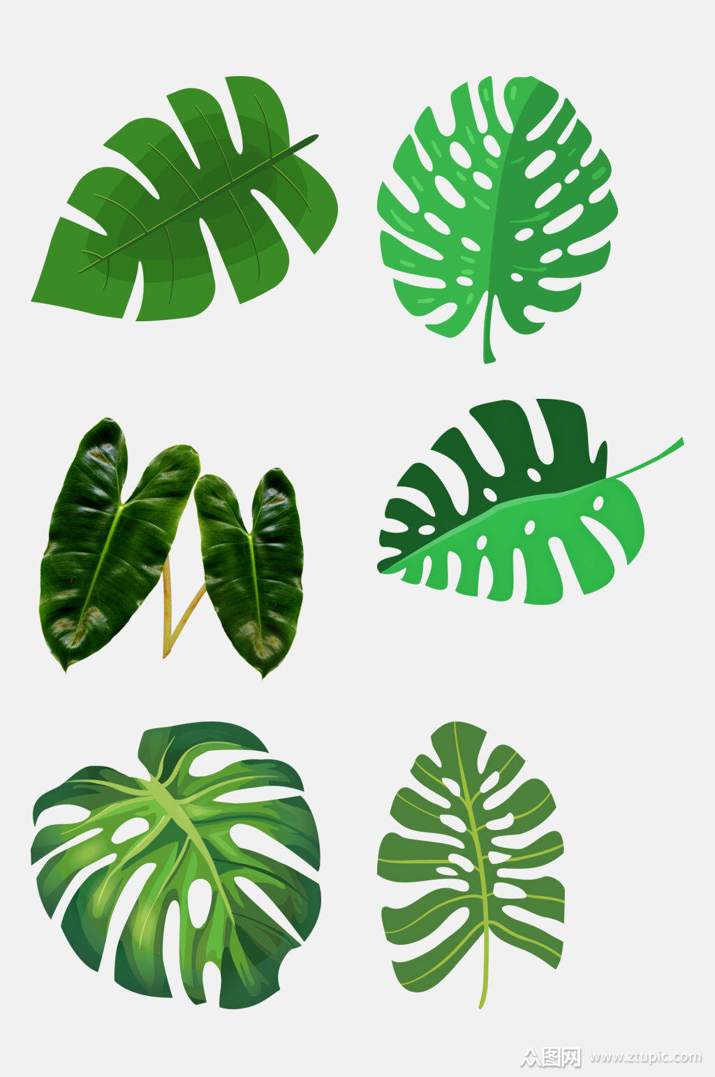 北欧叶子元素素材