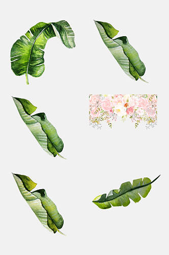 创意热带树叶植物插画免抠png元素