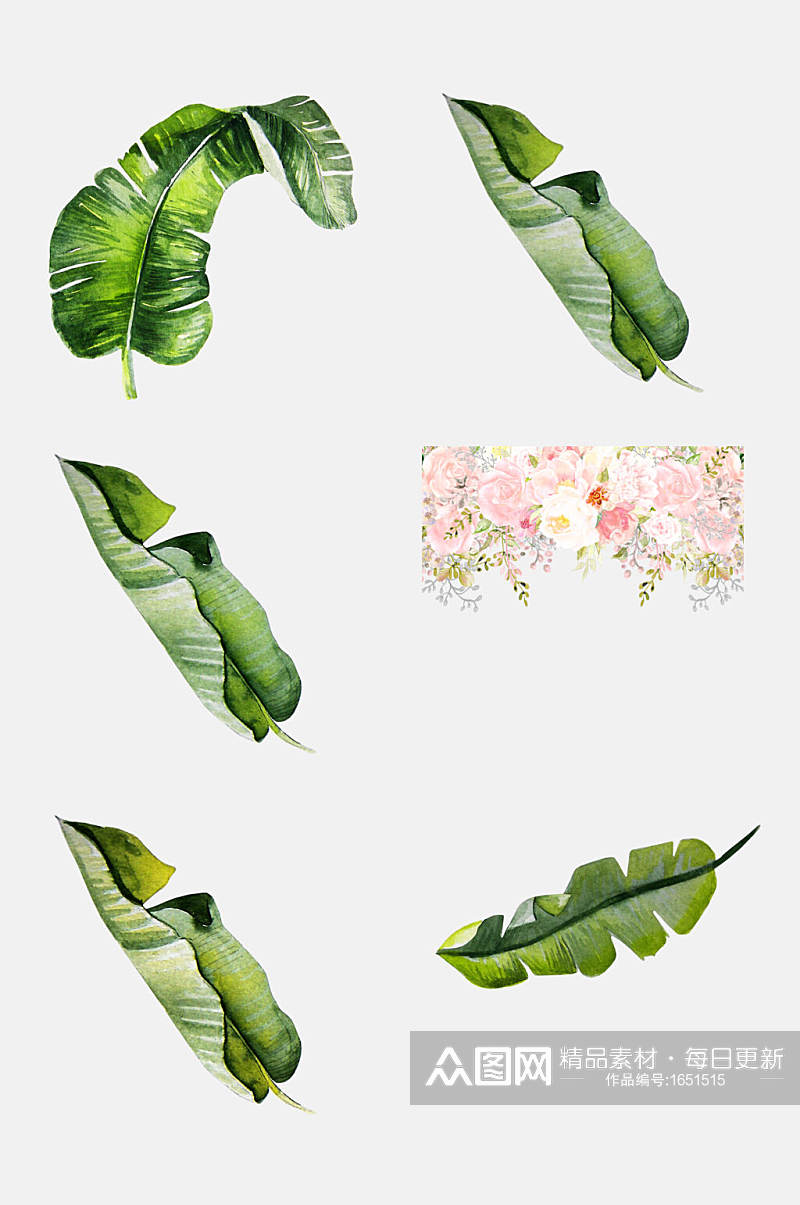 创意热带树叶植物插画免抠png元素素材