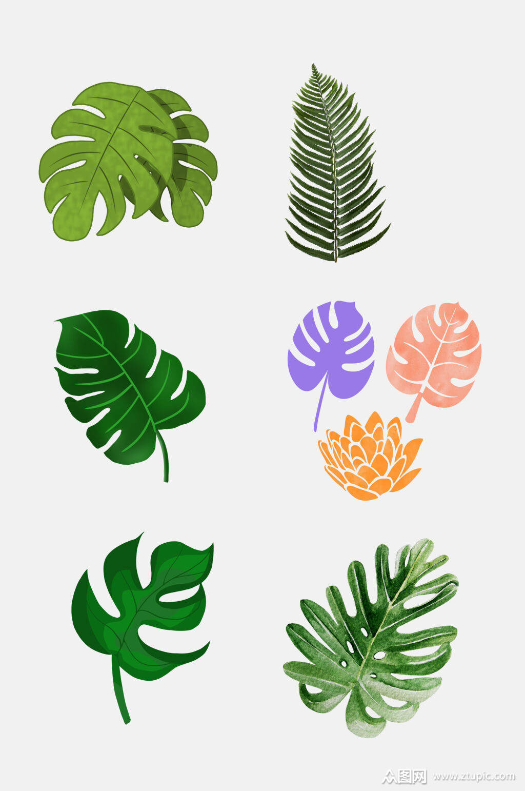 绿叶北欧叶子元素素材素材