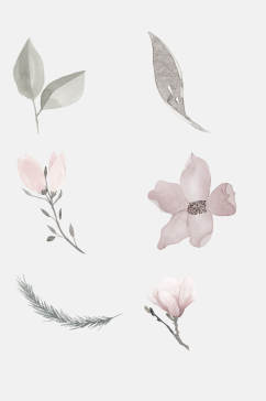 灰色水彩花卉元素素材
