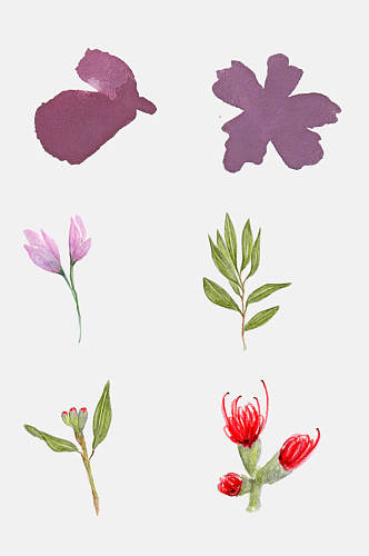 手绘花卉植物观察日记叶子花朵设计元素6