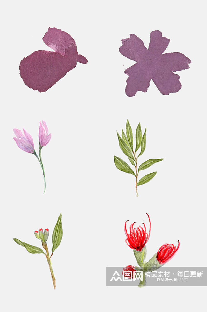 手绘花卉植物观察日记叶子花朵设计元素6素材